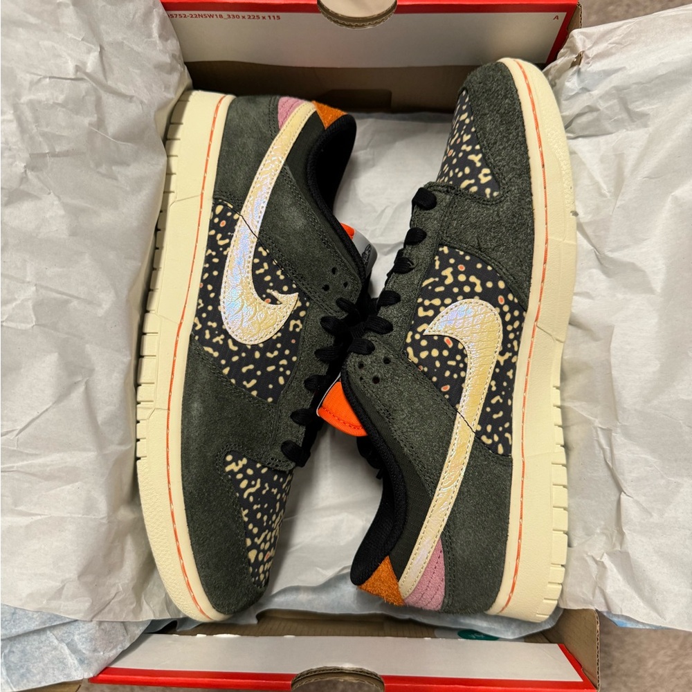 Nike dunks Rainbow Trouts